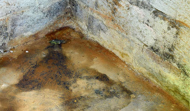 Hardscape Landscape Design Fort Wayne